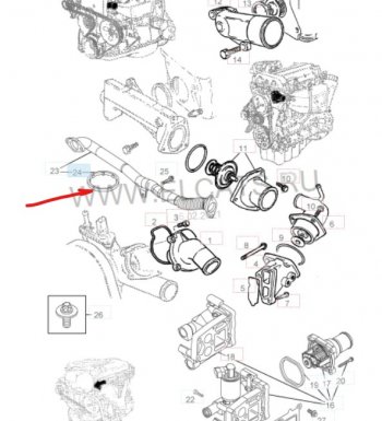 124 р. Уплотнительное кольцо маслопровода GM (дв. Z16XEP, к корпусу масляного фильтра)  Opel Astra ( H,  H GTC) (2004-2015). Увеличить фотографию 1