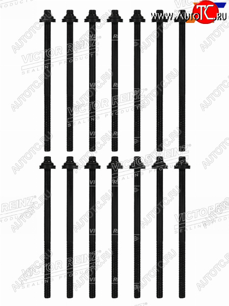 Комплект болтов ГБЦ BMW X5(E70) M57D30 14-32311-01