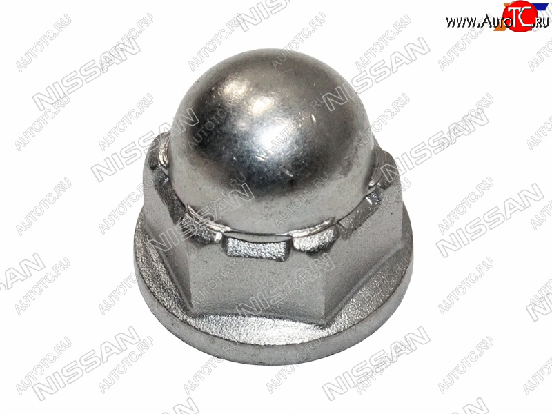 Гайка болта эксцентрика NISSAN JUKE 10-QASHQAI 06-13SERENA 05-10X-TRAIL 00-SUNNY 54588-JG00A