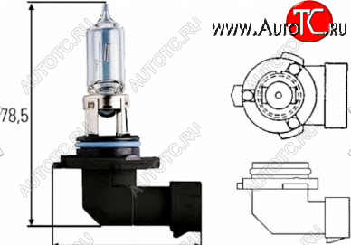 H10 (12V-42W  PY20D) ЛАМПА УПАКОВКА (1 шт) BLICK lph1000-980-o