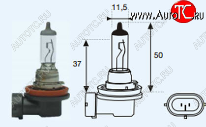 H11 (12V-55W  PG19-2) ЛАМПА УПАКОВКА (1 шт) BLICK lph1100-980-o