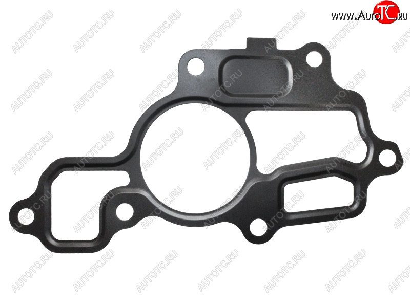 Прокладка термостата NISSAN X-TRAIL 09-14 TEANA 08-13 QASHQAI 06-13 MR20DE MR20DE 11062-EN200