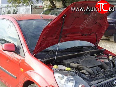 Упор капота Ford Fiesta V (2001-2009) ТехноМастер 8231.5900.04