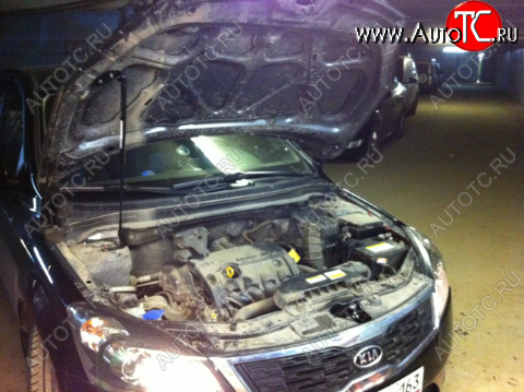 Упор капота Kia Ceed I (2010-2012) ТехноМастер 8231.8000.04