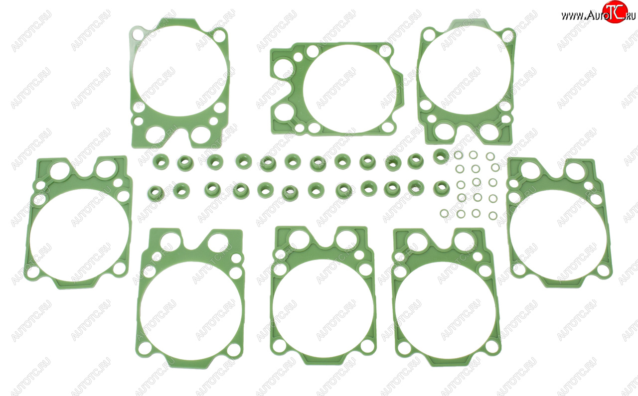 Ремкомплект КАМАЗ головки блока двигателя РТИ силикон (3 поз.48 дет.) СТРОЙМАШ стр 7405-1003008-25