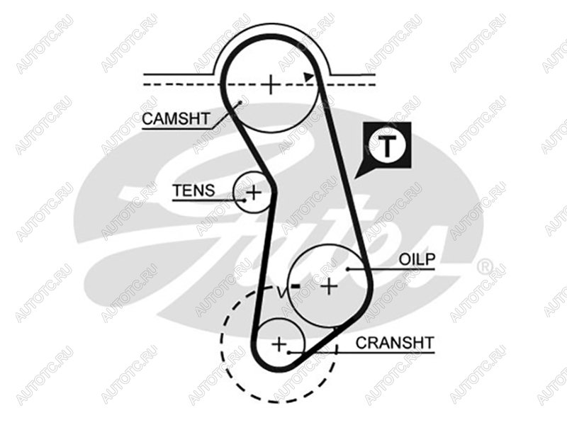 Ремень ГРМ AUDI 100 1.62.0 77-90A80 1.51.62.01.8 72-96VW PASSAT 1.61.8 88-97GOLF 1.61.8 83- 5016