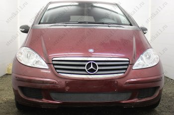 3 099 р. Защитная сетка в бампер (низ, ячейка 3х7 мм) Alfeco Стандарт  Mercedes-Benz A class  W169 (2005-2008) (Чёрная). Увеличить фотографию 1
