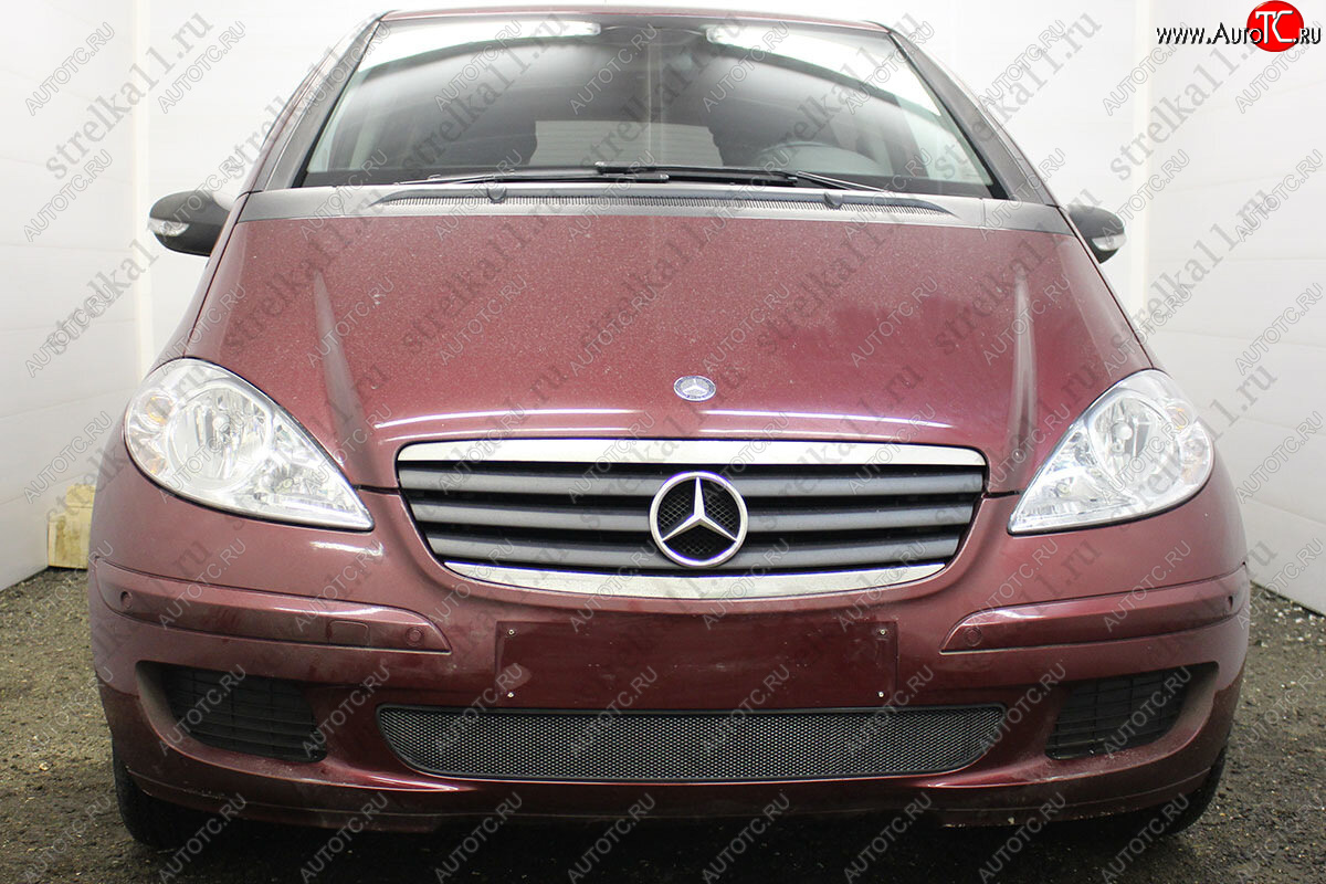 3 099 р. Защитная сетка в бампер (низ, ячейка 3х7 мм) Alfeco Стандарт Mercedes-Benz A class W169 дорестайлинг, хэтчбэк 5 дв. (2005-2008) (Чёрная)