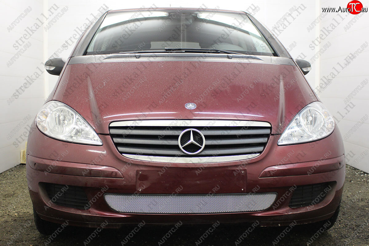 3 199 р. Защитная сетка в бампер (низ, ячейка 3х7 мм) Alfeco Стандарт  Mercedes-Benz A class  W169 (2005-2008) (Хром)
