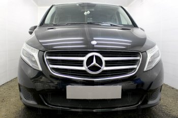 Защитная сетка в бампер (низ, ячейка 3х7 мм) Alfeco Стандарт Mercedes-Benz (Мерседес-Бенс) Vito (вито)  W447 (2015-2020) W447 дорестайлинг ()