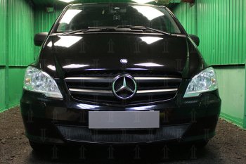 2 969 р. Защитная сетка в бампер (низ, ячейка 3х7 мм) Alfeco Стандарт Mercedes-Benz Vito W639 рестайлинг (2010-2014) (Чёрная). Увеличить фотографию 1
