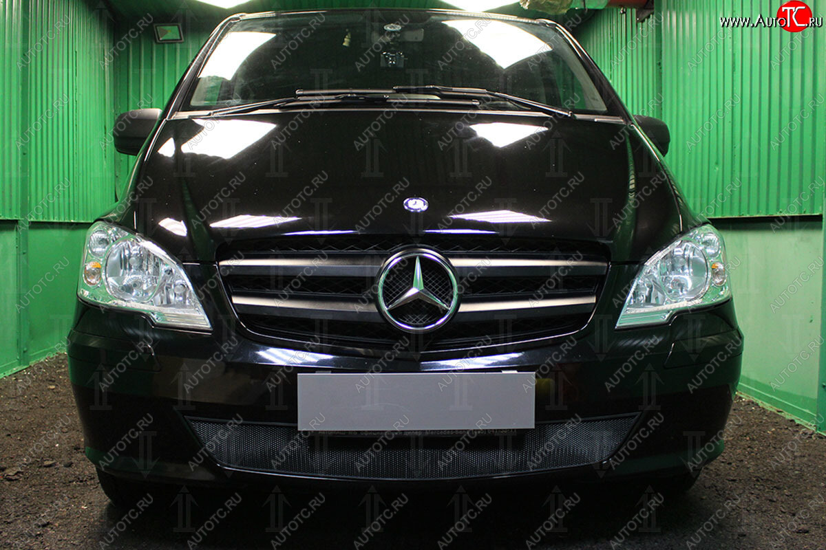 2 969 р. Защитная сетка в бампер (низ, ячейка 3х7 мм) Alfeco Стандарт  Mercedes-Benz Vito  W639 (2010-2014) (Чёрная)