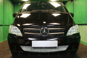 Защитная сетка в бампер (низ, ячейка 3х7 мм) Alfeco Стандарт Mercedes-Benz Vito W639 рестайлинг (2010-2014)  (Хром)