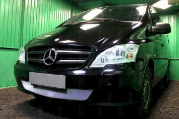 3 099 р. Защитная сетка в бампер (низ, ячейка 3х7 мм) Alfeco Стандарт Mercedes-Benz Vito W639 рестайлинг (2010-2014) (Хром). Увеличить фотографию 3