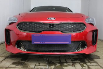 5 999 р. Защитная сетка в бампер (верх, ячейка 4х10 мм) Alfeco Премиум KIA Stinger (2017-2024) (Чёрная). Увеличить фотографию 4