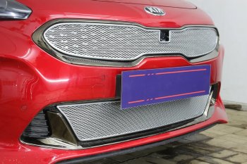 6 299 р. Защитная сетка в бампер (верх, ячейка 4х10 мм) Alfeco Премиум KIA Stinger (2017-2024) (Хром). Увеличить фотографию 4