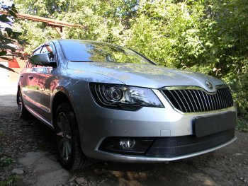 4 599 р. Защитная сетка в бампер (низ, ячейка 4х10 мм) Стрелка11 Премиум Skoda Superb (B6) 3T лифтбэк рестайлинг (2013-2015) (Чёрная). Увеличить фотографию 3