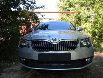 4 599 р. Защитная сетка в бампер (низ, ячейка 4х10 мм) Стрелка11 Премиум Skoda Superb (B6) 3T лифтбэк рестайлинг (2013-2015) (Чёрная). Увеличить фотографию 2