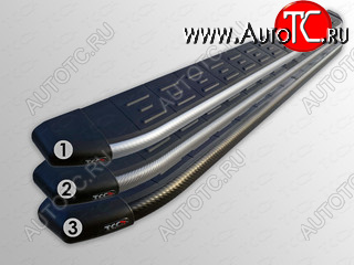 21 349 р. Пороги алюминиевые с пластиковой накладкой, ТСС Тюнинг  Chevrolet Captiva (2011-2013) (карбон серебро)