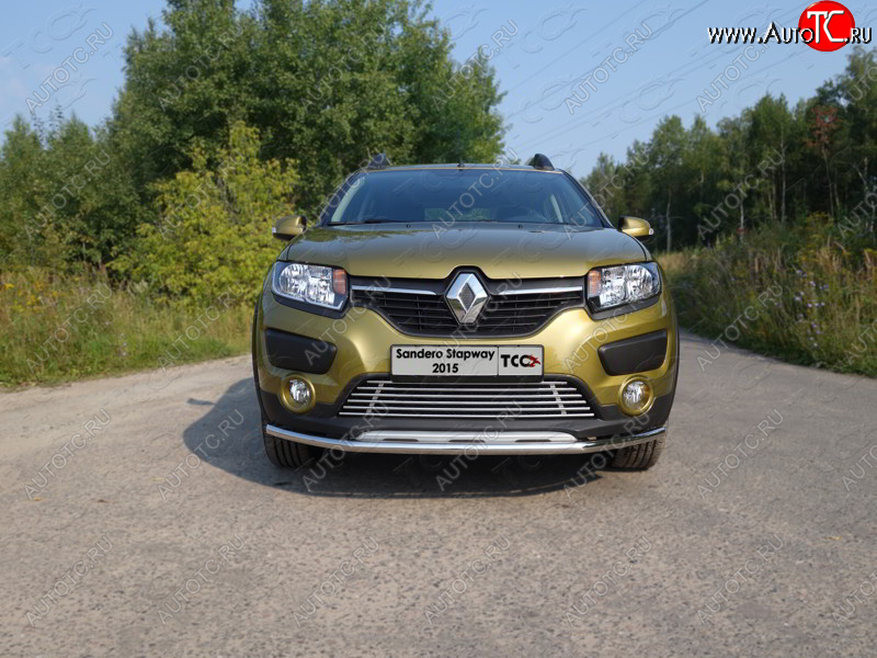 7 699 р. Нижняя декоративная вставка в бампер ТСС Тюнинг  Renault Sandero Stepway  (B8) (2014-2018) дорестайлинг (d 12 мм)