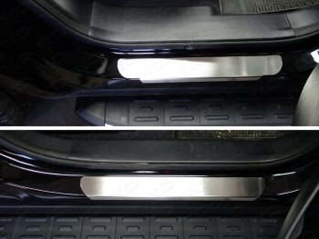 4 099 р. Накладки на пороги, ТСС Тюнинг  Hyundai Santa Fe  3 DM (2015-2019) (лист шлифованный). Увеличить фотографию 1