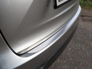 Накладка на задний бампер, ТСС Тюнинг Lexus (Лексус) NX (НХ)  200 (2014-2017) 200 Z10 дорестайлинг  (Лист шлифованный)
