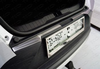 2 079 р. Накладки на заднюю дверь, ТСС Тюнинг  Renault Arkana (2019-2024) (лист шлифованный с полосой). Увеличить фотографию 1