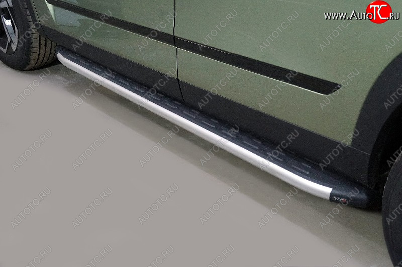 21 349 р. Пороги алюминиевые с пластиковой накладкой ТСС Тюнинг JAECOO J7 (2023-2024) (серые)