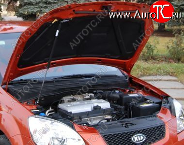 2 699 р. Упор капота Kia Rio II (2005-2011) ТехноМастер (8231.6900.04)