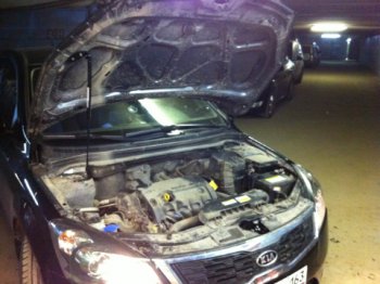 2 049 р. Упор капота Kia Ceed I (2010-2012) ТехноМастер (8231.8000.04). Увеличить фотографию 1