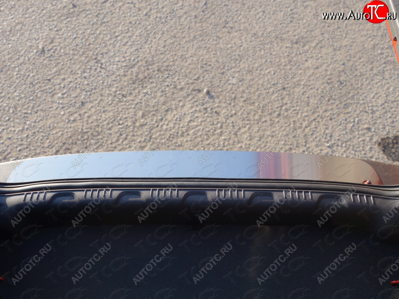 2 799 р. Накладка на задний бампер ТСС Тюнинг  Ford EcoSport (2013-2019) (лист шлифованный)