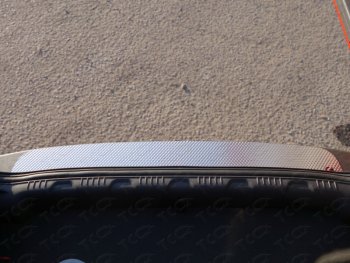2 799 р. Накладка на задний бампер ТСС Тюнинг Ford EcoSport дорестайлинг (2013-2019) (Лист декоративный). Увеличить фотографию 1