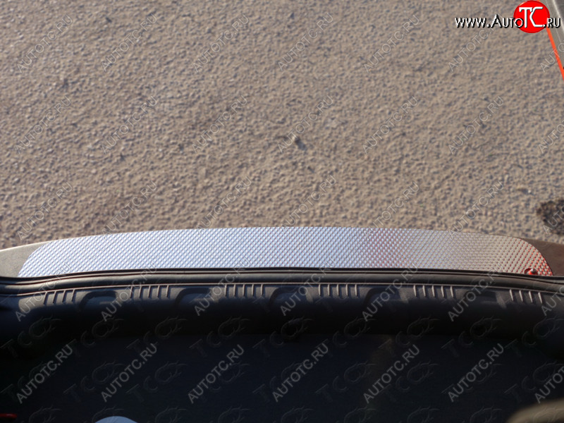 2 799 р. Накладка на задний бампер лист декоративный, ТСС Тюнинг  Ford EcoSport (2013-2019) (Лист декоративный)