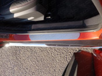 1 299 р. Накладки на пороги ТСС Тюнинг  Ford EcoSport (2013-2019) (Лист декоративный). Увеличить фотографию 1