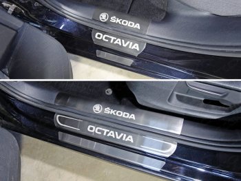 1 889 р. Накладки на пороги внешние ТСС Тюнинг  Skoda Octavia  A7 (2012-2017) (Лист шлифованный). Увеличить фотографию 1