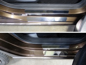 Накладки на пороги внешние и внутренние лист зеркальный 8 шт, ТСС Тюнинг Volkswagen Polo 5 хэтчбек рестайлинг (2015-2020)