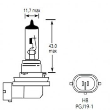 299 р. Лампа 12V H8 35W PGJ19-1 800лм Стандарт TESLAFT (Россия) (4631111143254). Увеличить фотографию 2