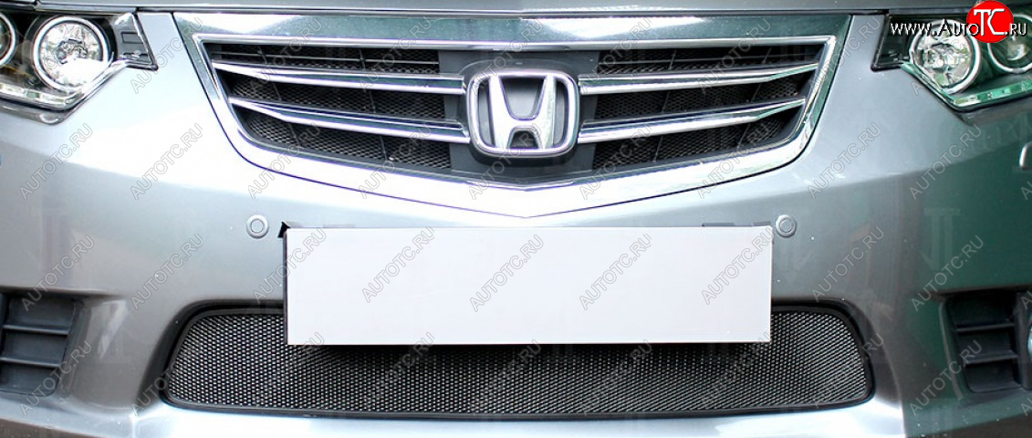 3 099 р. Защитная сетка в бампер (низ, ячейка 3х7 мм) Alfeco Стандарт  Honda Accord  9 седан CR (2013-2016) (Чёрная)