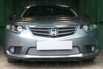 Защитная сетка в бампер (низ, ячейка 3х7 мм) Alfeco Стандарт Honda (Хонда) Accord (Аккорд)  9 седан CR (2013-2016) 9 седан CR дорестайлинг