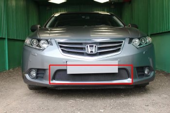 3 099 р. Защитная сетка в бампер (низ, ячейка 3х7 мм) Alfeco Стандарт  Honda Accord ( 8 седан CU,  8 универсал CW) (2011-2013) (Чёрная). Увеличить фотографию 1