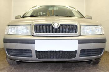 2 499 р. Защита радиатора (Active) Стрелка11 Стандарт  Skoda Octavia ( Tour A4 1U2,  Tour A4 1U5) (2000-2010) лифтбэк рестайлинг, универсал рестайлинг (черная). Увеличить фотографию 1