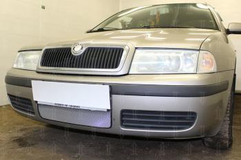 2 669 р. Защита радиатора Стрелка11 Стандарт  Skoda Octavia ( Tour A4 1U2,  Tour A4 1U5) (2000-2010) лифтбэк рестайлинг, универсал рестайлинг (хром). Увеличить фотографию 1