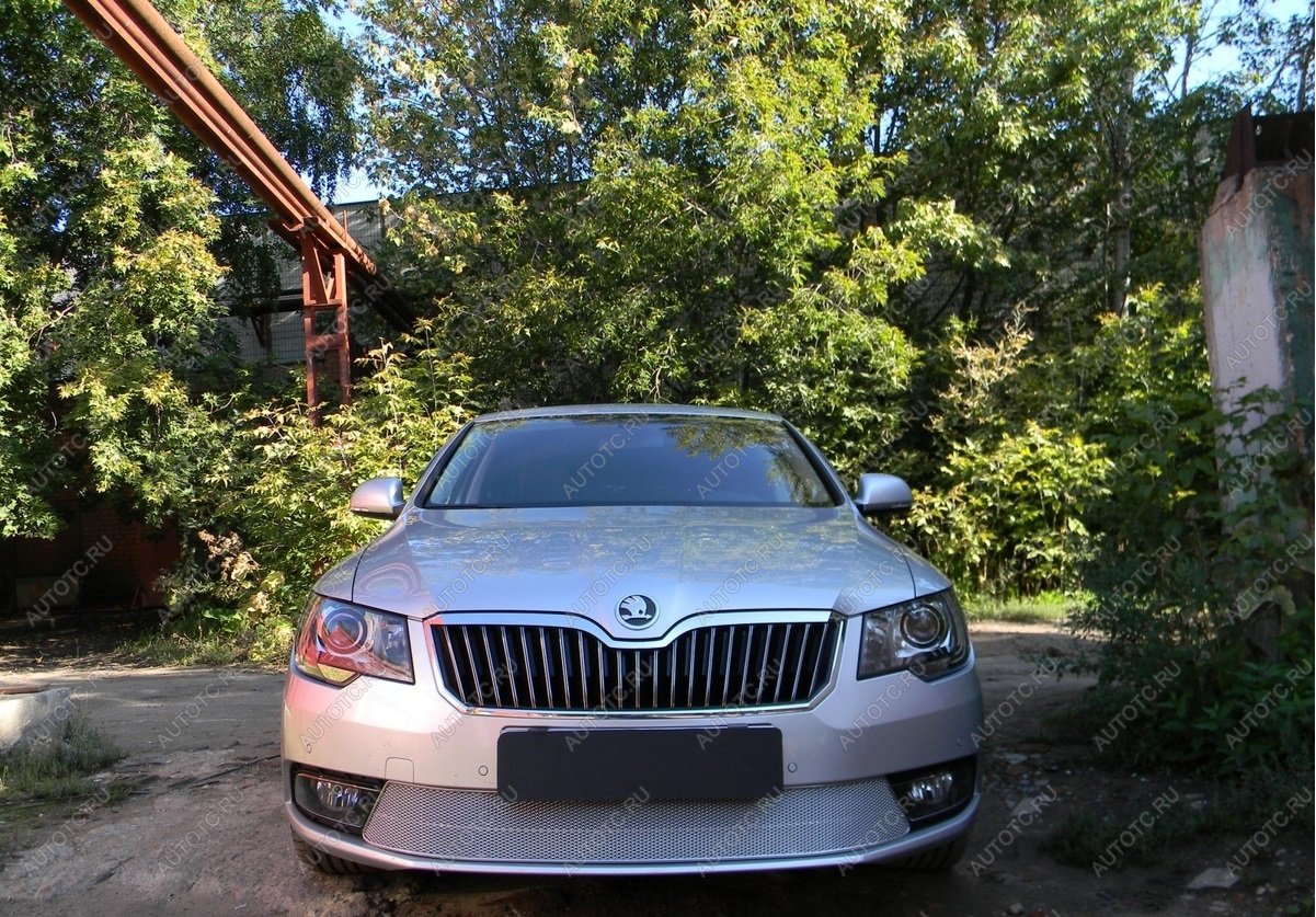 4 749 р. Защита радиатора Стрелка11 PREMIUM Skoda Superb (B6) 3T лифтбэк рестайлинг (2013-2015) (хром)