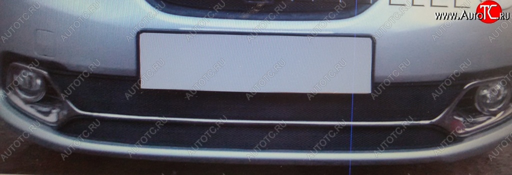 1 789 р. Нижняя защитная сетка на бампер (Privilege, Luxe) Russtal (черная)  Renault Logan  2 (2014-2018)