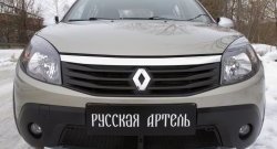 2 149 р. Защитная сетка решетки переднего бампера РА  Renault Sandero Stepway  (BS) (2010-2014). Увеличить фотографию 3