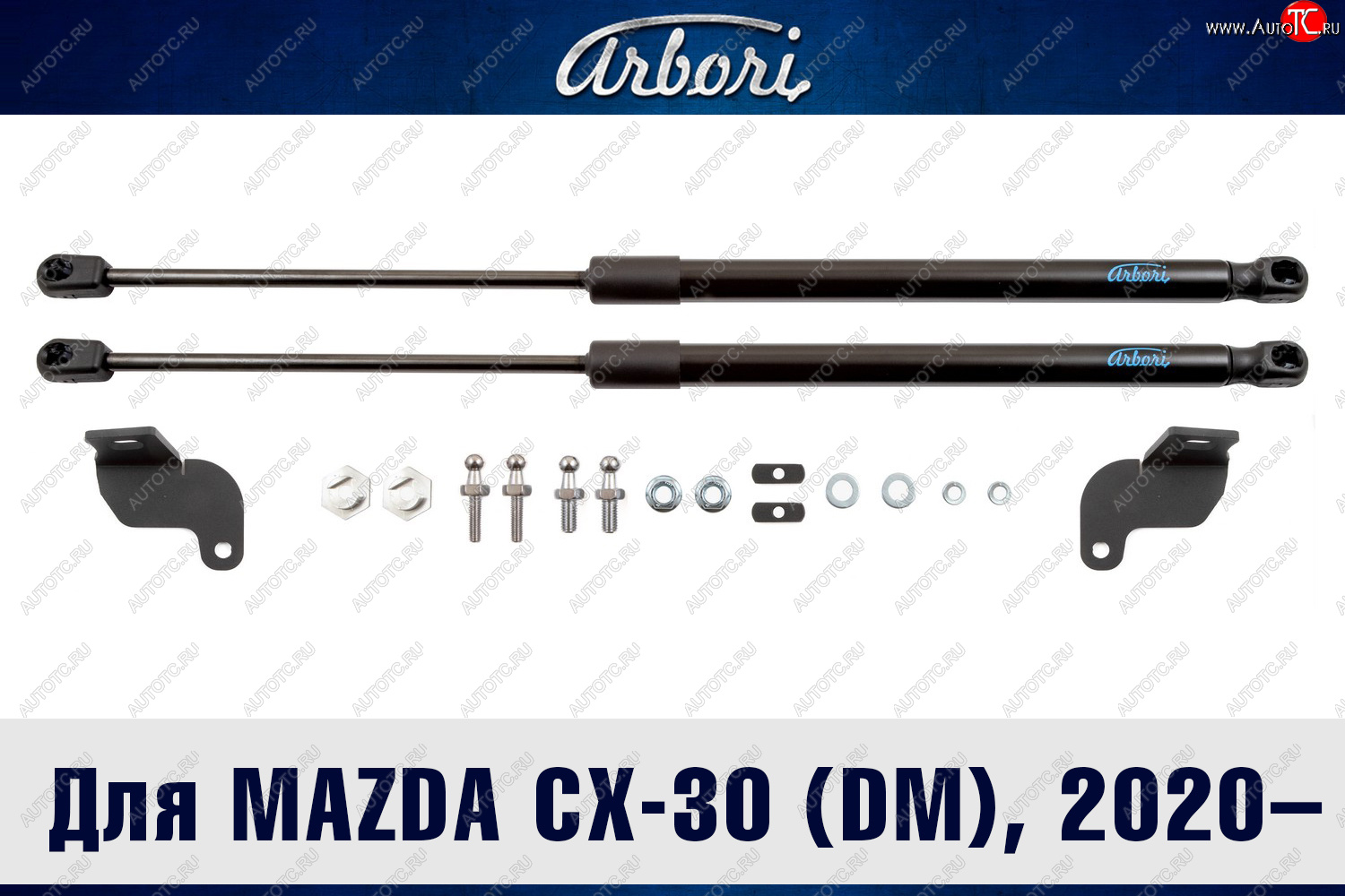 2 989 р. Упоры капота Arbori  Mazda CX-30  DM (2019-2024)