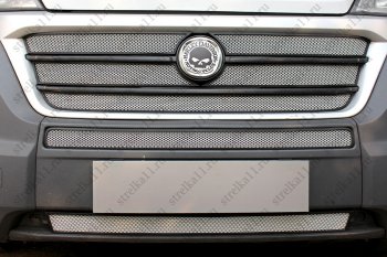 6 499 р. Защитная сетка в бампер (ячейка 3х7 мм, 5 частей) Alfeco Стандарт  Fiat Ducato  290 (2014-2024) (Хром). Увеличить фотографию 2