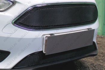 3 999 р. Защитная сетка в бампер (ячейка 4х10 мм, нижняя часть) Alfeco Премиум  Ford Focus  3 (2014-2019) (Чёрная). Увеличить фотографию 4