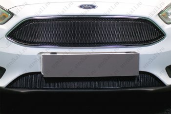3 999 р. Защитная сетка в бампер (ячейка 4х10 мм, нижняя часть) Alfeco Премиум Ford Focus 3 седан рестайлинг (2014-2019) (Чёрная). Увеличить фотографию 2