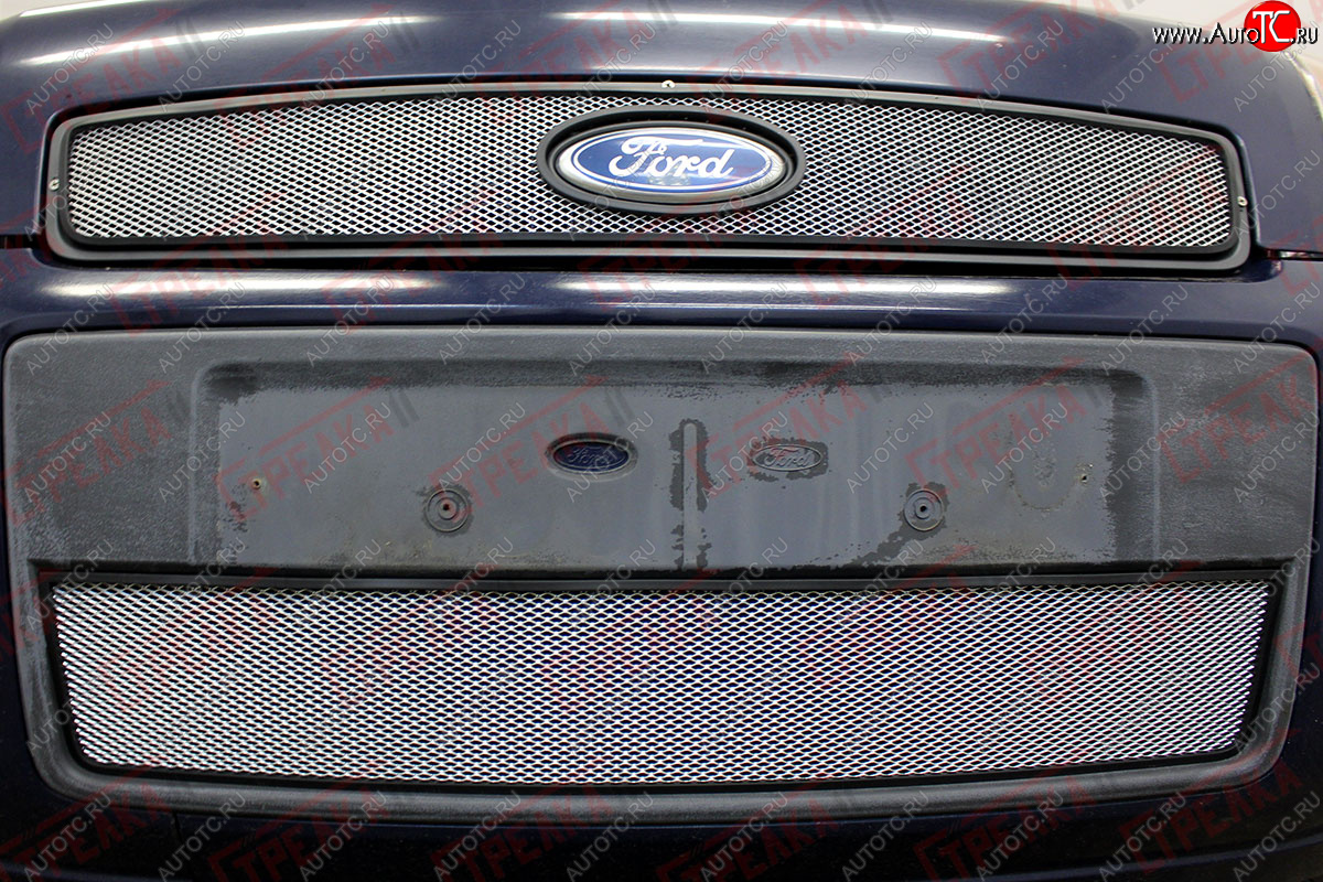 3 099 р. Защитная сетка радиатора в бампер (ячейка 3х7 мм) Стрелка11 Стандарт  Ford Fusion  1 (2005-2012) (хром)